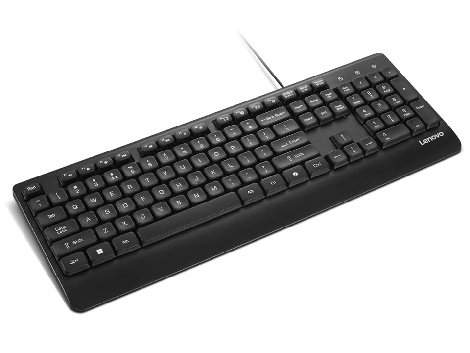 Lenovo 110 USB-A Wired Multimedia Keyboard-Full-Size Layout,Plug & Play